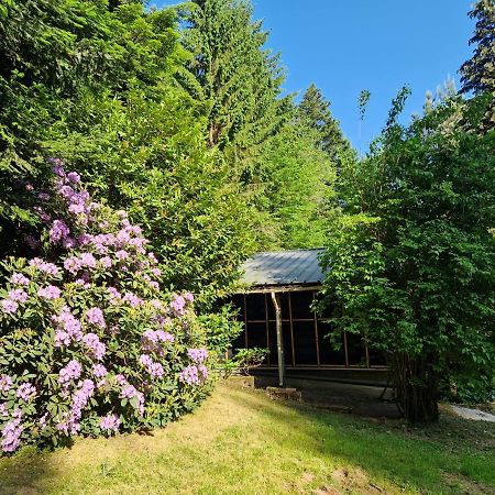 Chalet De La Foret 1 A 6 Pers Saint-Sauveur  Exterior foto