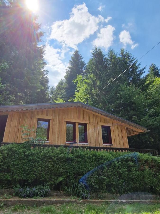 Chalet De La Foret 1 A 6 Pers Saint-Sauveur  Exterior foto